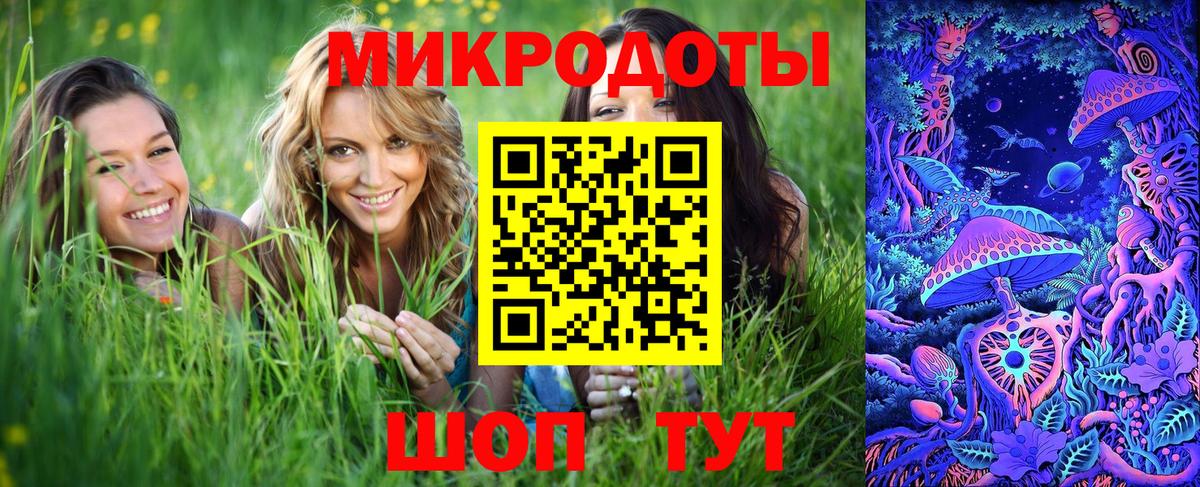 Галлюциногенные грибы Psilocybe  Вход с VPN  Бирск 